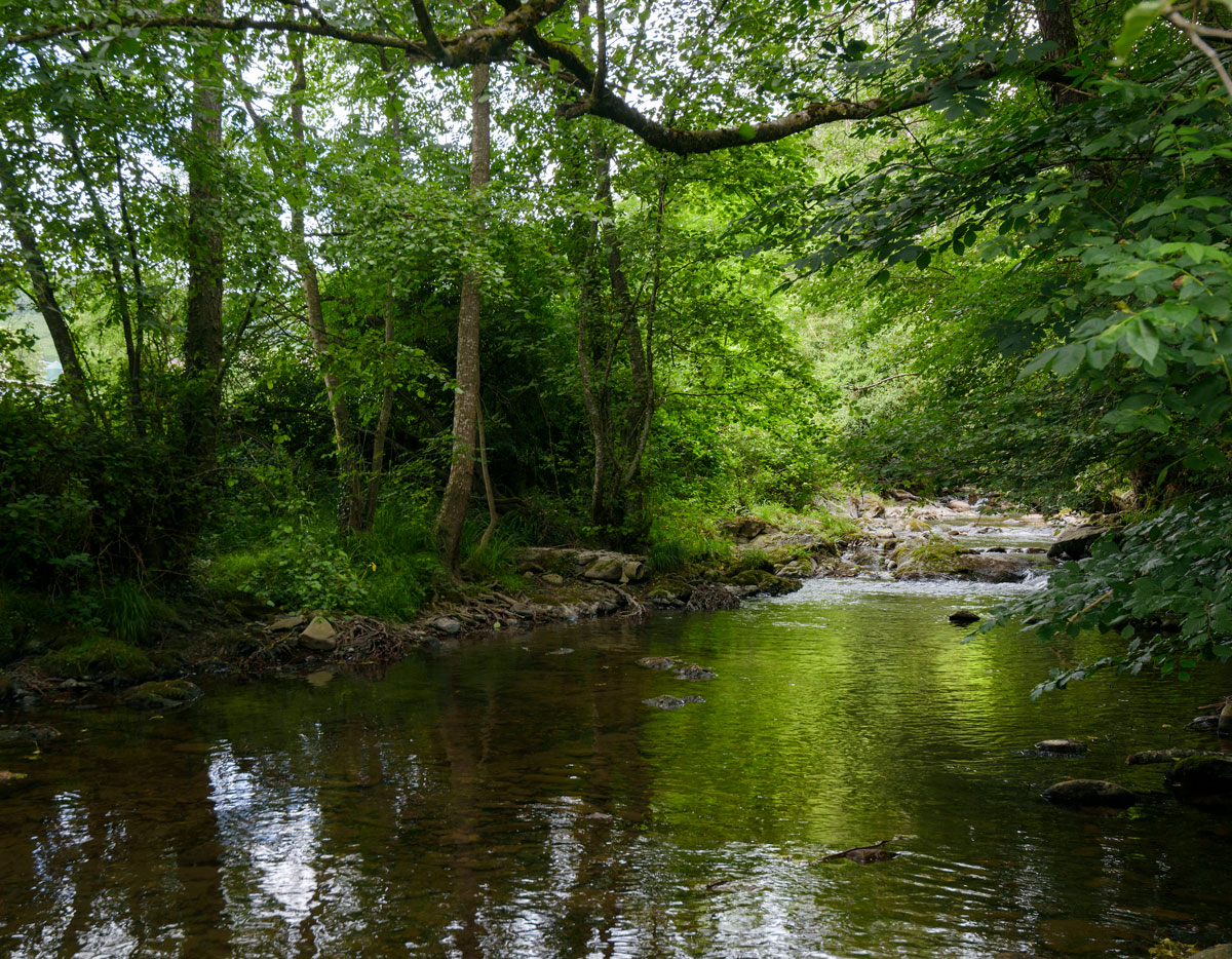 Río en Lanz