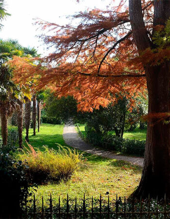 silencio y vistas al bosque